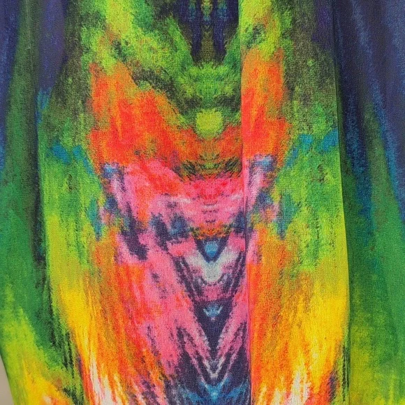 Serengeti sheer, long sleeved, multi color dress. Size XL. - Picture 7 of 9